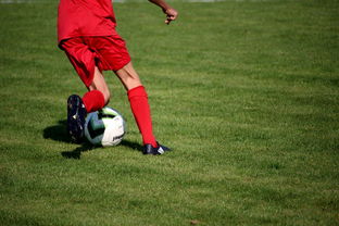 开云官网首页-中国篮球教练员战术创新培训体系，全国篮球教练员岗位培训