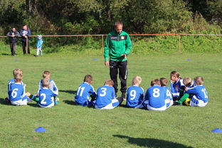 开云·体育官方网站入口-中国篮球教练员战术创新能力培养研究，篮球教练员职业素养的三大核心